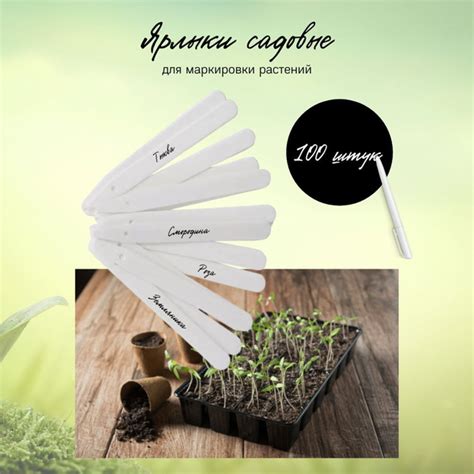 Таблички для растений, ярлыки садовые для маркировки 100 шт - купить по ...