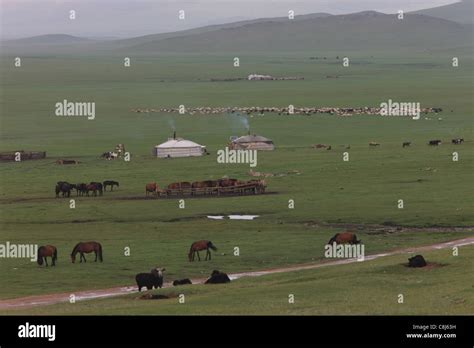 Mongolian Yurt camp, Ger, Mongolia, steppe, nomads, nomad-camp, herds ...