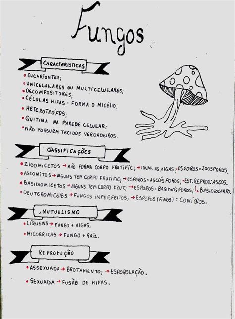 Mapa Mental Fungos Brebadimapa