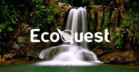 Contact Us Ecoquest