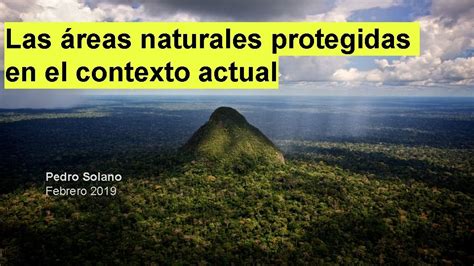 Las Reas Naturales Protegidas En El Contexto Actual