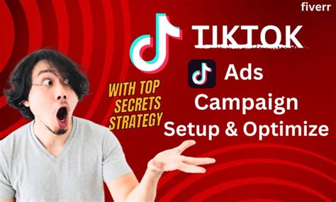 Setup And Manage Tiktok Ads Campaign Run Tiktok Ads By Saif Ab Fiverr