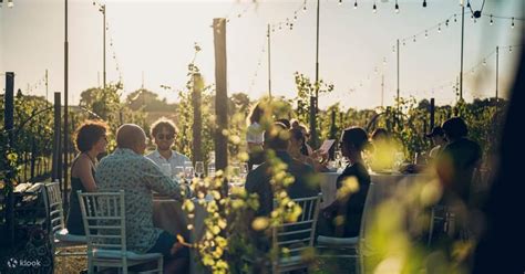 Romantic Dinner In The Vineyard Of Poggio Ai Laghi Winery Klook Malaysia