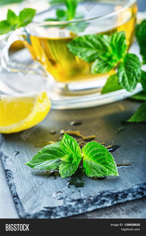 Mint Leaf. Mint Leaves Image & Photo (Free Trial) | Bigstock