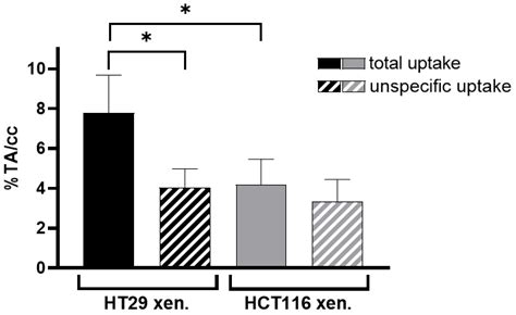 Cancers Free Full Text Cam Xenograft Model Provides Preclinical