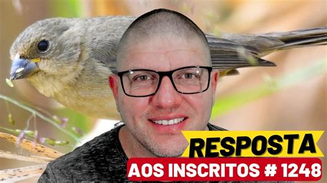 RESPOSTA AOS INSCRITOS 1248 YouTube