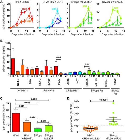 Jci Efficient Sivcpz Replication In Human Lymphoid Tissue Requires