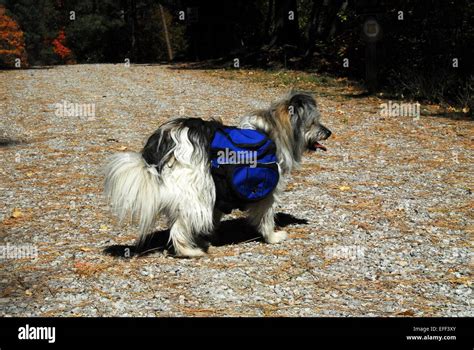 Tajique Campground Hi Res Stock Photography And Images Alamy