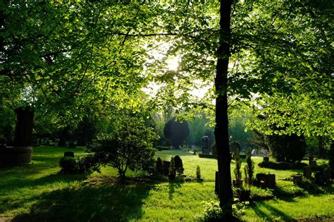 Top 7 Surprising Reasons Why You Should Choose A Green Funeral