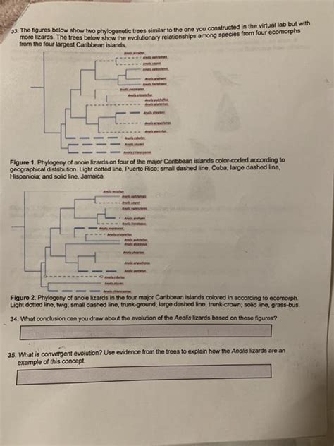 The Figures Below Show Two Phylogenetic Trees Chegg