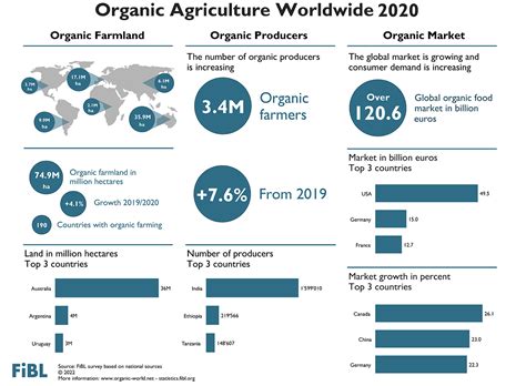 Sobre A Produtividade Da Agricultura Org Nica Organis