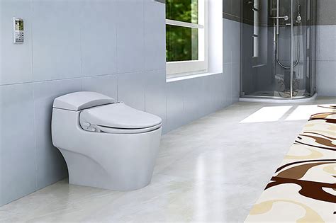 smart toilet   pictures   poo  send  doctors