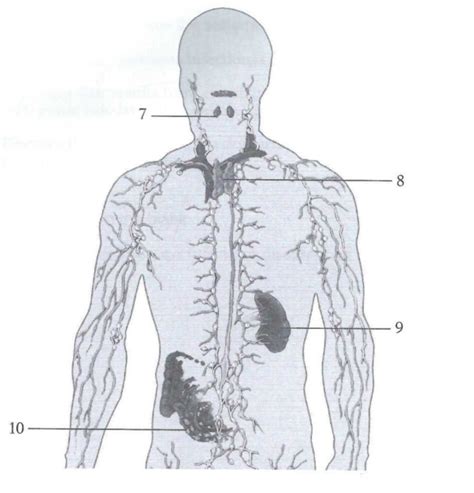 Abeka Health Quiz Diagram Quizlet