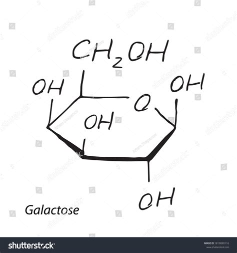 464 Glucose Galactose Molecule Images, Stock Photos & Vectors ...