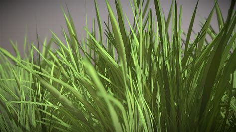 Grass 02 Download Free 3d Model By Polyscan Polyscan3d 539d1c1