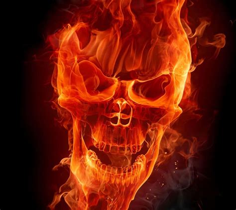 100 Cool Skull Pictures
