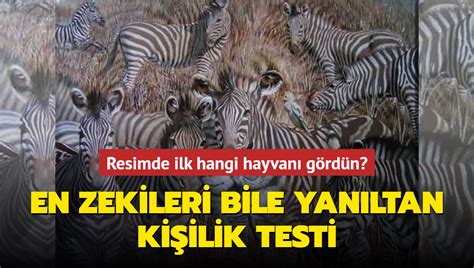 Ki Ilik Testi Resimde Ilk Hangi Hayvan G Rd N Aslan G Renlerle Zebra