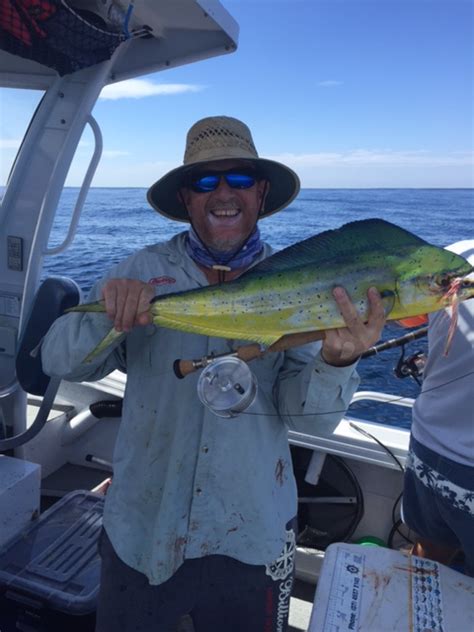 Mahi Mahi Dolphinfish On Fly 71cms Lure Fishing Records DECKEE