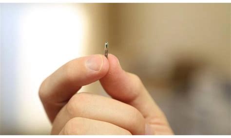 Qu Peligro Empresas Que Implantan Microchips En Sus Tr