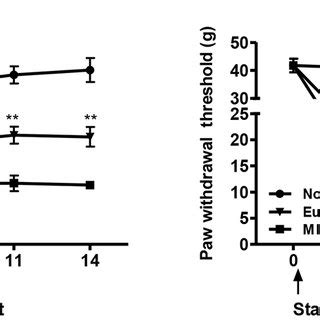 Effects Of Eupatilin On Mechanical Hyperalgesia In A Model Of