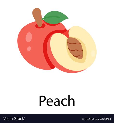 Peach Royalty Free Vector Image VectorStock