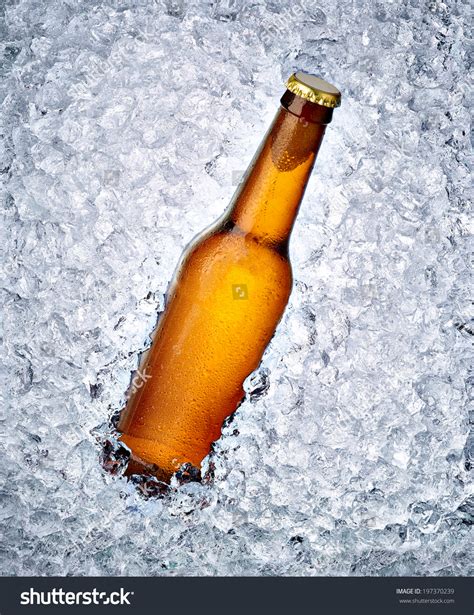 6,464 Ice Cold Beer Bottle Brown Images, Stock Photos & Vectors ...