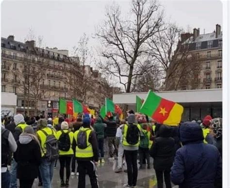 Cameroun Climat Social La Brigade Anti Sardinards Saccage Des