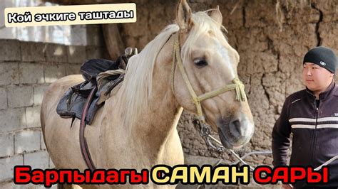 САТЫЛДЫ Барпыдагы САМАН САРЫ - YouTube