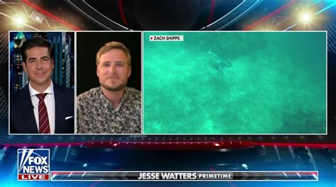 Shark attack survivor recounts bone 'crunching' encounter: 'It was an ...