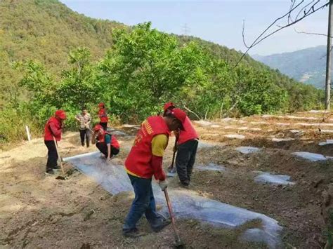 马街镇沙坦郎村：驻村工作队助力抗旱保收 南华县人民政府