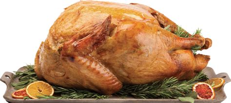 Cooked Turkey Png