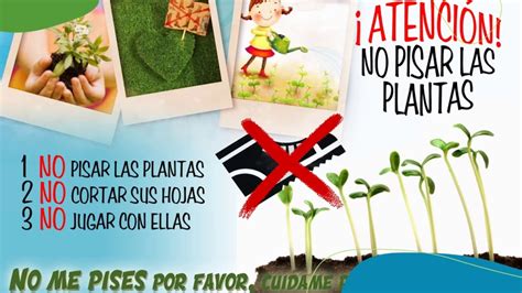 Qu Podemos Hacer Para Proteger Las Plantas