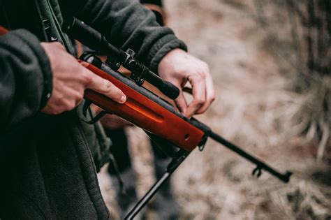 Que Sont Les Armes De Catégorie B Quun Particulier Peut Avoir