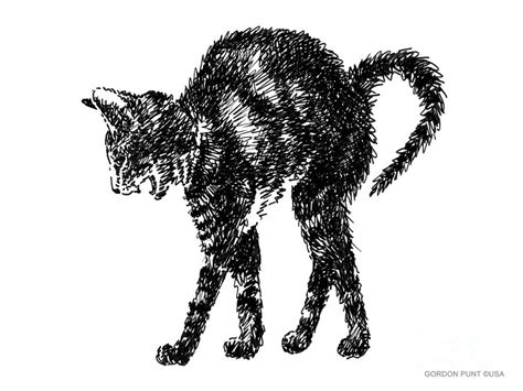 Cat Artwork Prints 2 Drawing By Gordon Punt Fine Art America