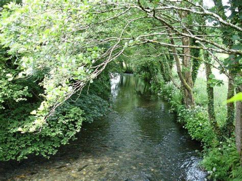 River Lynher Penny Mayes Cc By Sa Geograph Britain And Ireland