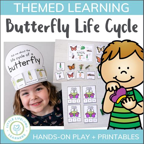 Butterfly Life Cycle Mini Unit Little Lifelong Learners