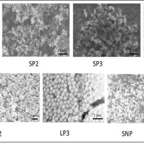 Characterization Of Synthesized Silica Nanoparticles Using Scanning Download Scientific Diagram