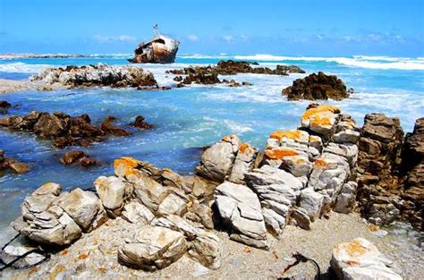 Images Of Agulhas National Park Western Cape Nature Reserve South Africa