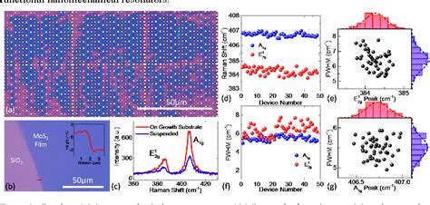 Figure 1 From Large Scale Arrays Of Single And Few Layer MoS2