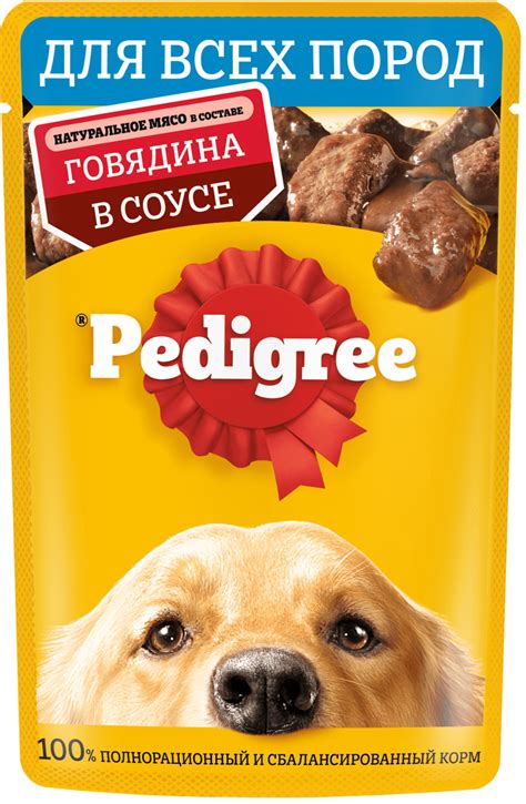 Малинуа фото характер характеристика и описание породы Pedigree®