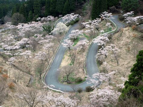 Best roads to drive around the world - Business Insider