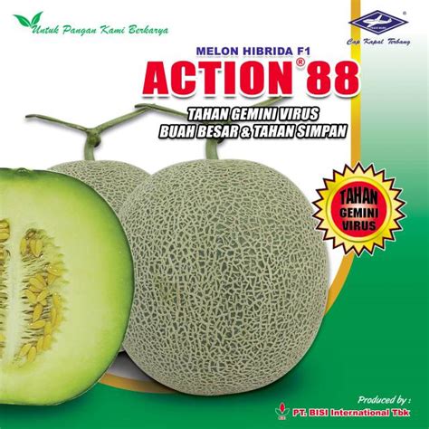 Jual Melon Action 88 Isi Benih 2000 Biji Indonesia Shopee Indonesia