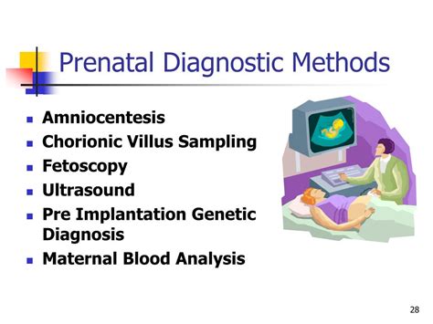 Ppt Chapter 2 Heredity And Prenatal Development Part 1 Powerpoint