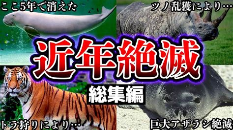 【総集編】近年、絶滅した生物and絶滅寸前の生物たちについてまとめ【ゆっくり解説】【睡眠用】 Youtube