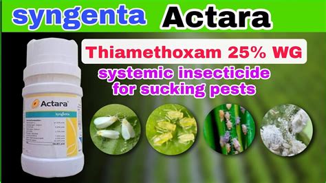 Syngenta Actara Thiamethoxam Wg Insecticide Details For Sucking