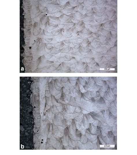 As Printed Microstructure Of 316l Stainless Steel Parallel To The Build