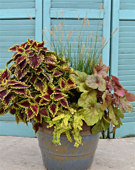 4 Container Garden Ideas Fairview Garden Center