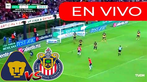 Pumas Vs Chivas En Vivo Torneo Clausura Liga Mx 2023 Jornada 8