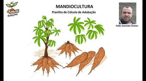 Mandioca Planilha de Cálculo de Adubação YouTube