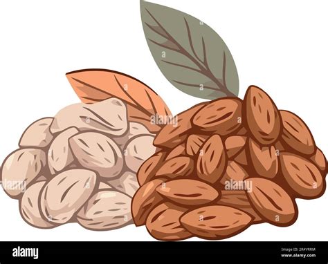 Healthy Nuts And Seeds In A Nutshell Vector Stock Vector Image And Art